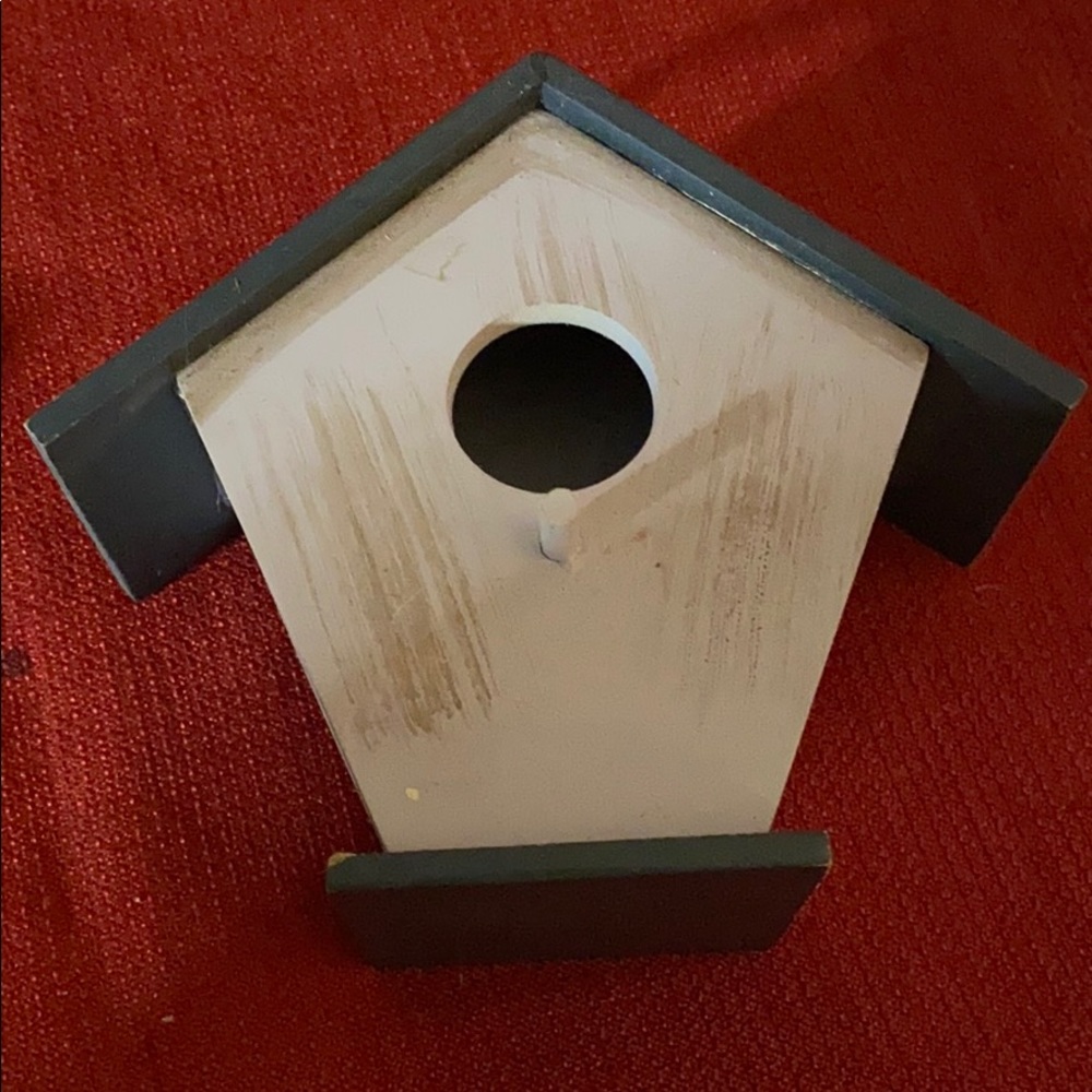 Birdhouse novelty